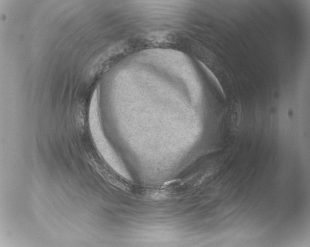 X0000051880710200507151912