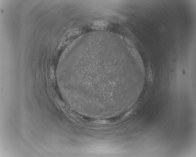 X0000051880711200507151912