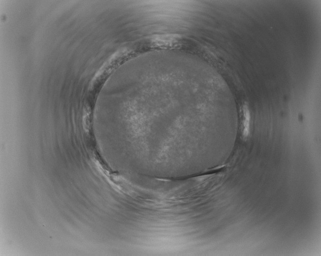 X0000051880712200507151912