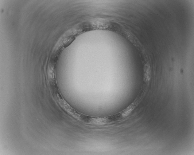 X0000051880713200507151912