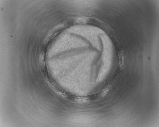 X0000051880714200507151912