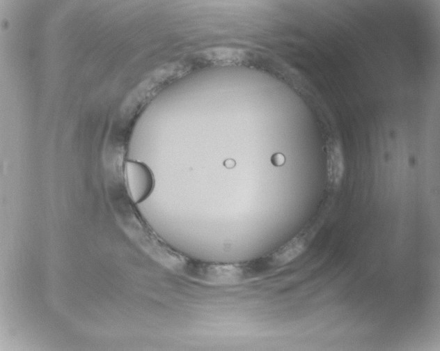 X0000051880717200507151912