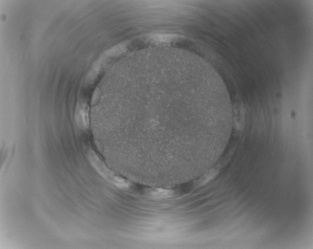 X0000051880718200507151912