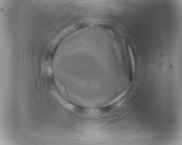 X0000051880719200507151912