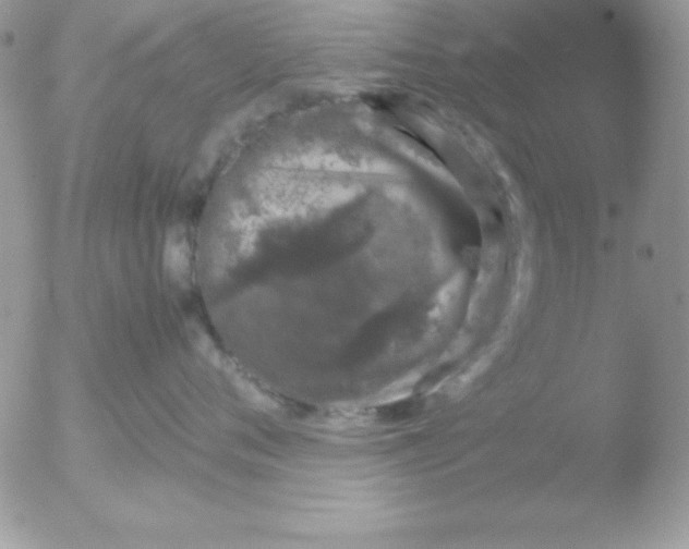 X0000051880720200507151912