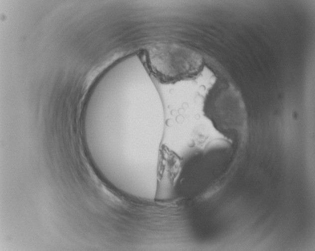 X0000051880721200507151911