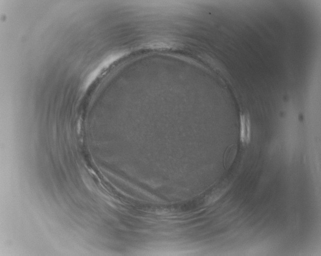 X0000051880723200507151911