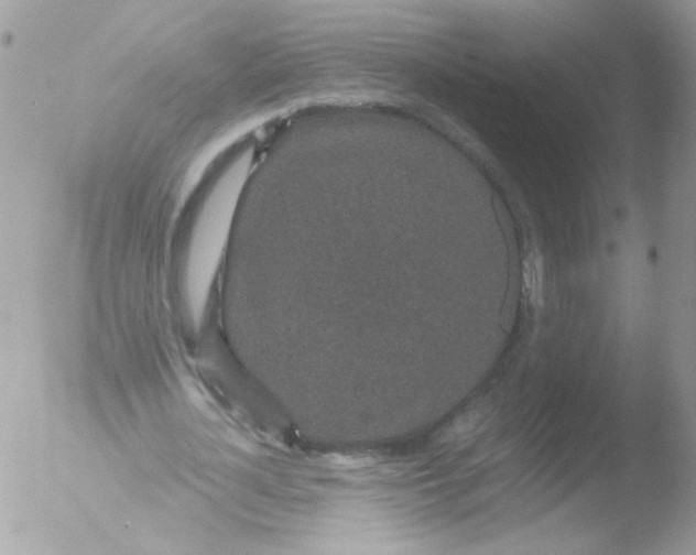 X0000051880724200507151911