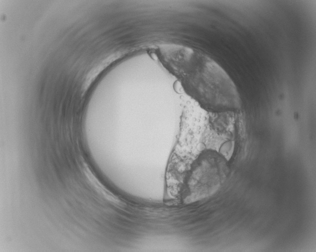 X0000051880725200507151911