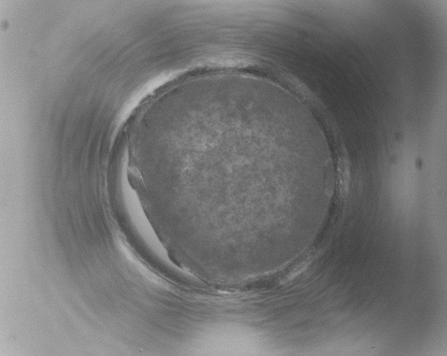 X0000051880726200507151911