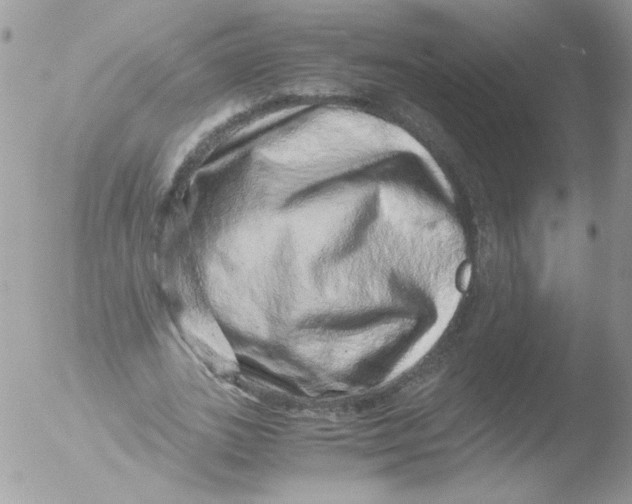 X0000051880727200507151911