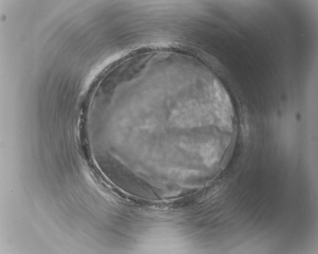 X0000051880728200507151911