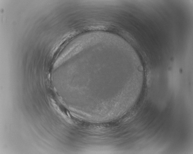 X0000051880729200507151911