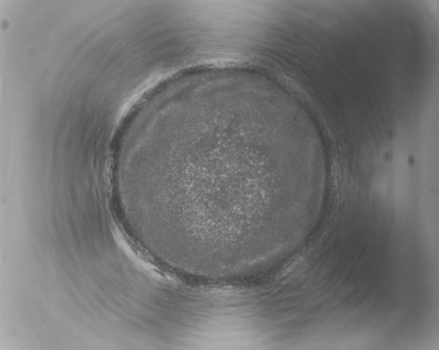 X0000051880730200507151912