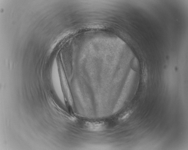 X0000051880731200507151912