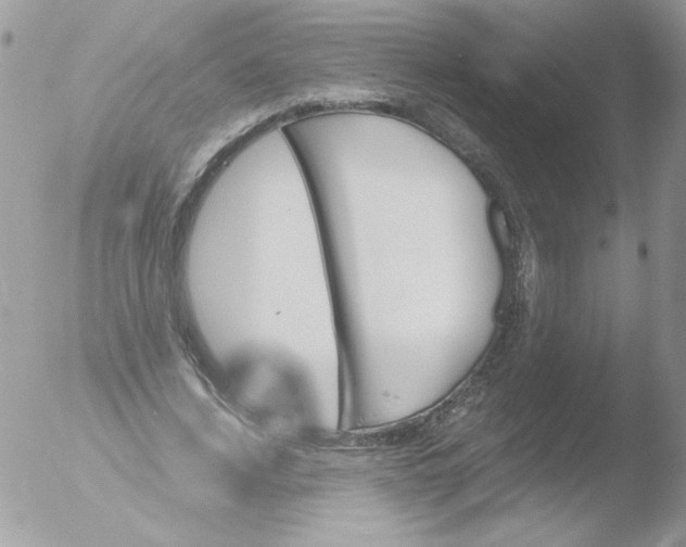 X0000051880732200507151912