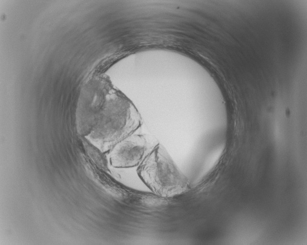 X0000051880733200507151912