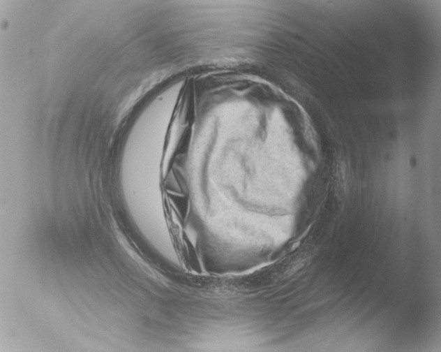 X0000051880734200507151912