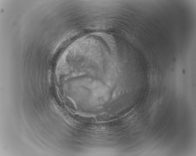 X0000051880735200507151912