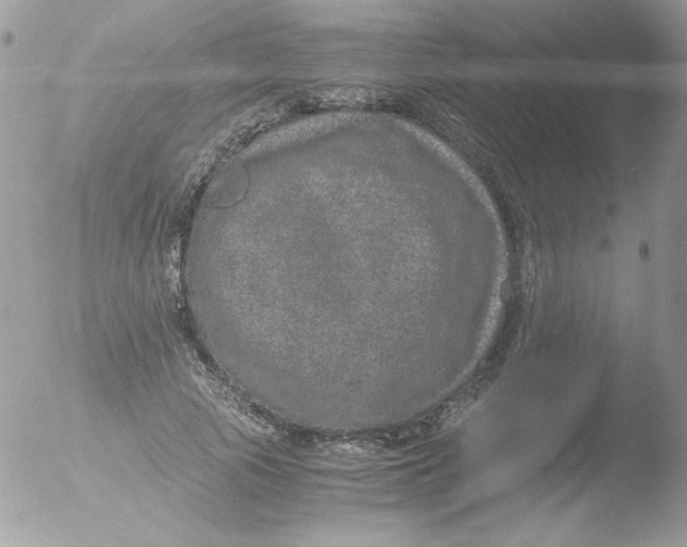 X0000051880737200507151912