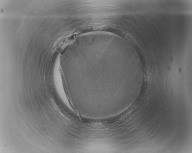 X0000051880740200507151912