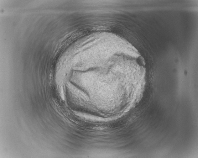 X0000051880741200507151912