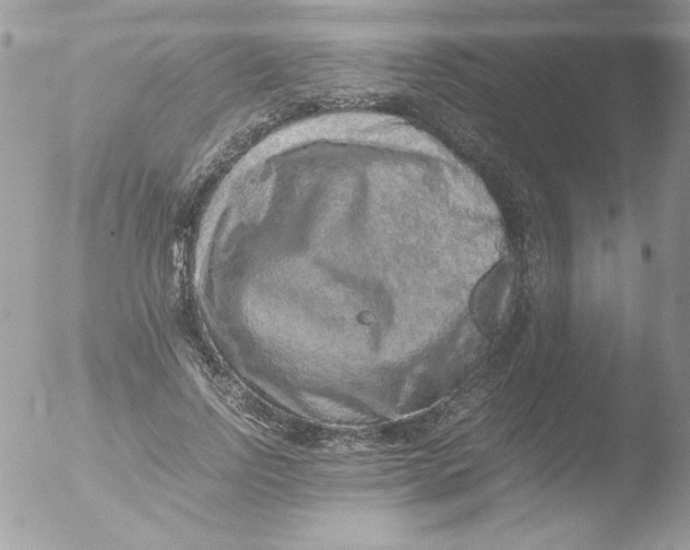 X0000051880742200507151912