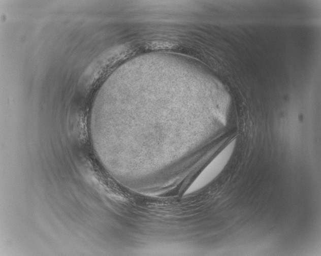 X0000051880743200507151912