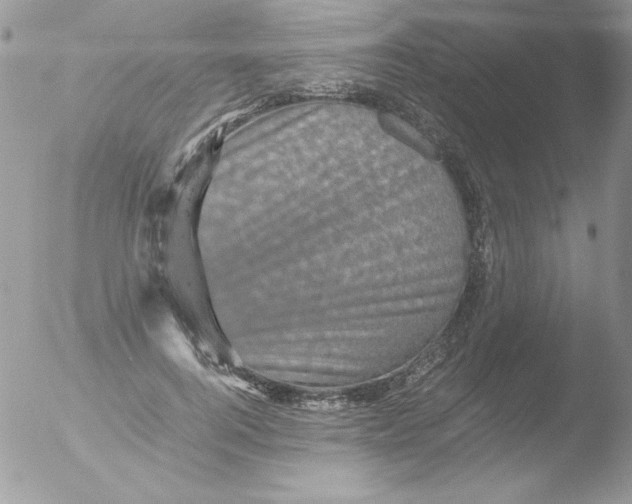 X0000051880744200507151912