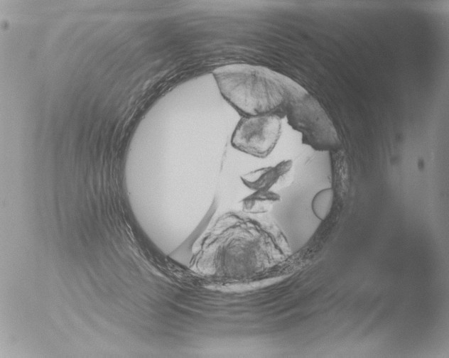 X0000051880745200507151912