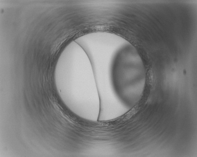 X0000051880746200507151912