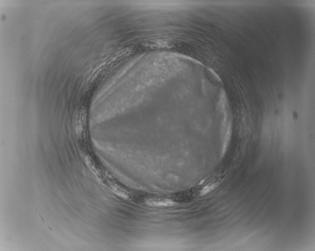 X0000051880747200507151912