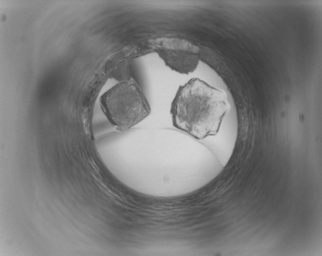 X0000051880749200507151912