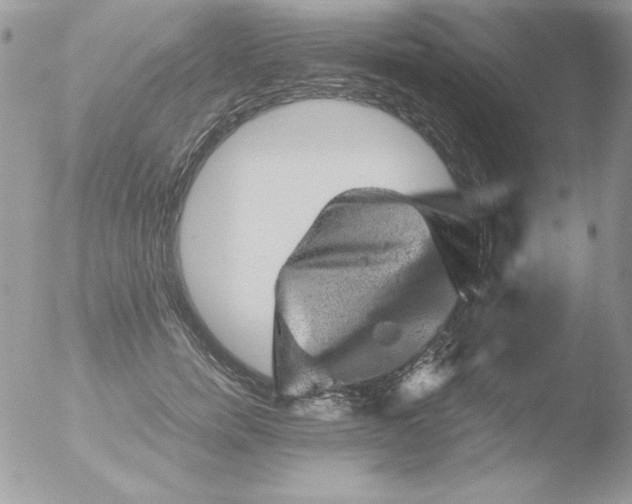 X0000051880750200507151912