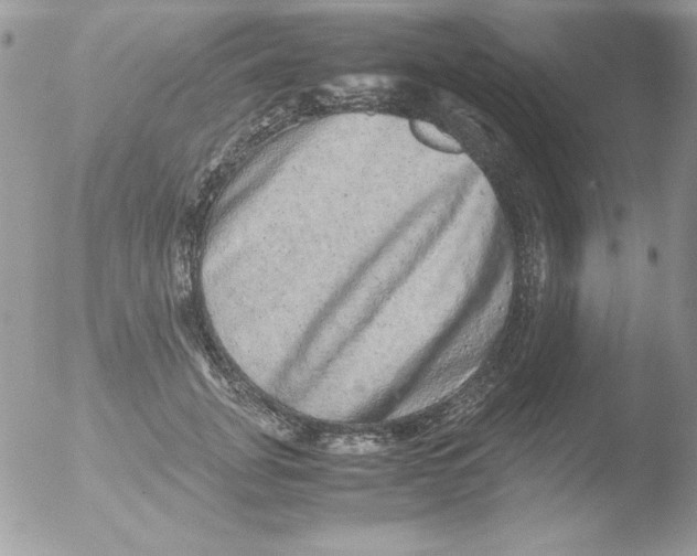 X0000051880751200507151912