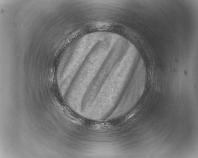 X0000051880752200507151912