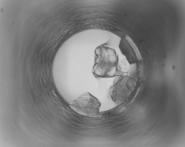 X0000051880753200507151912