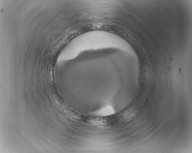 X0000051880754200507151912