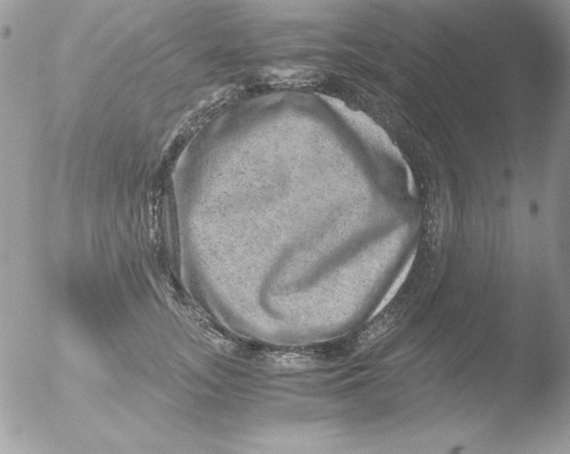 X0000051880755200507151912