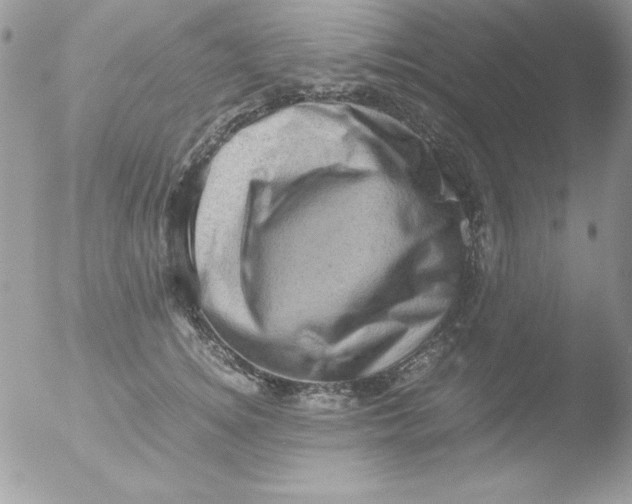 X0000051880756200507151912