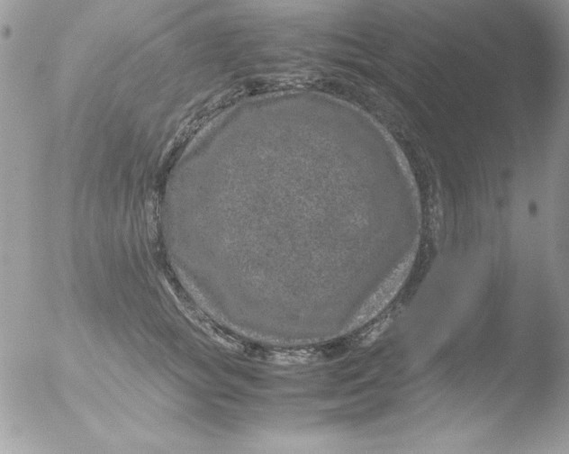 X0000051880757200507151912