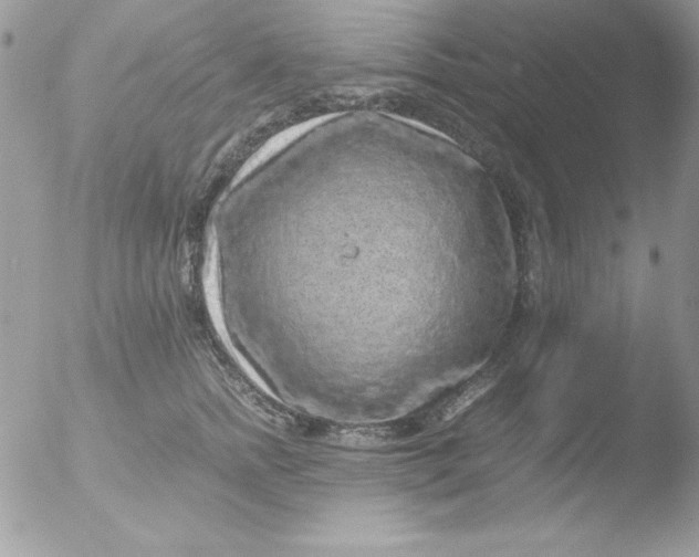 X0000051880758200507151912