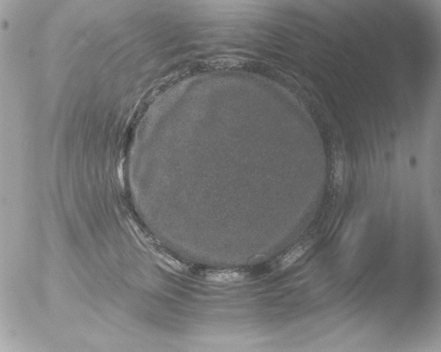 X0000051880759200507151912