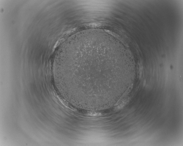 X0000051880760200507151912