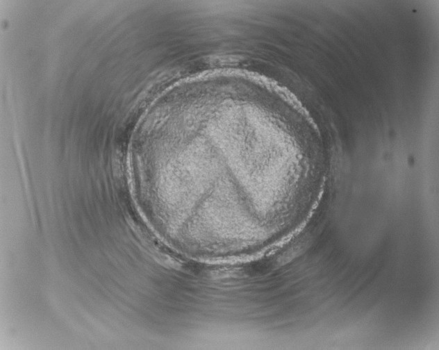 X0000051880761200507151912