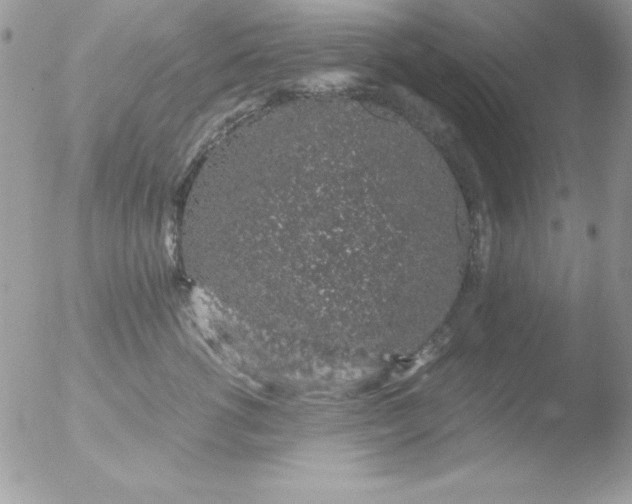 X0000051880762200507151912