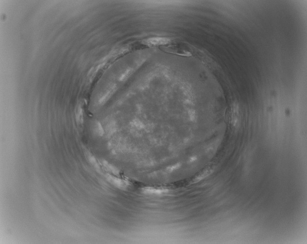 X0000051880763200507151912