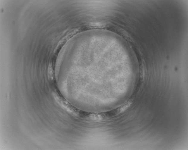 X0000051880764200507151912