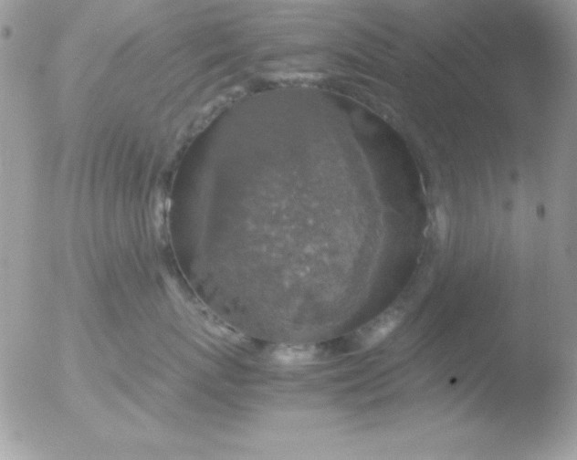 X0000051880767200507151912