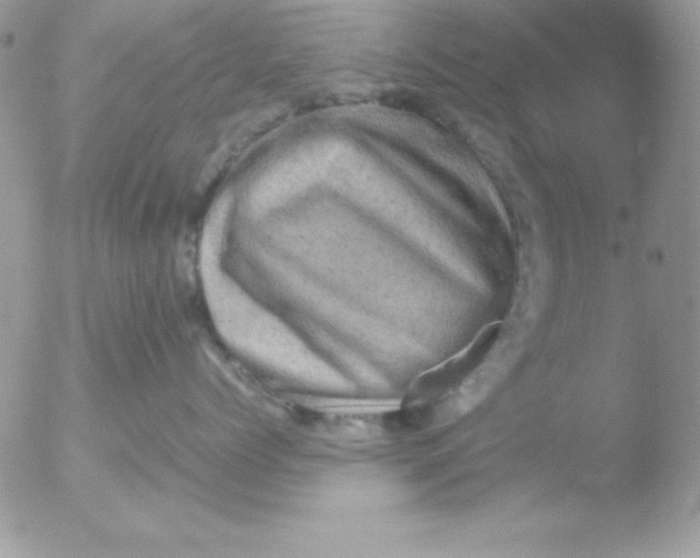 X0000051880768200507151912